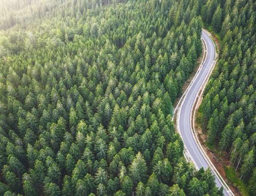 Federal 2030 Emissions Reduction Plan Released Today