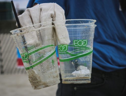 New Rules, Clearer Expectations: Canada Releases Final Guidelines for Environmental Claims