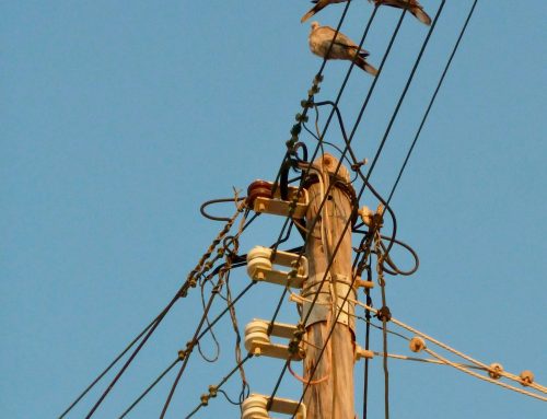 How to Manage Operational Carbon Risk