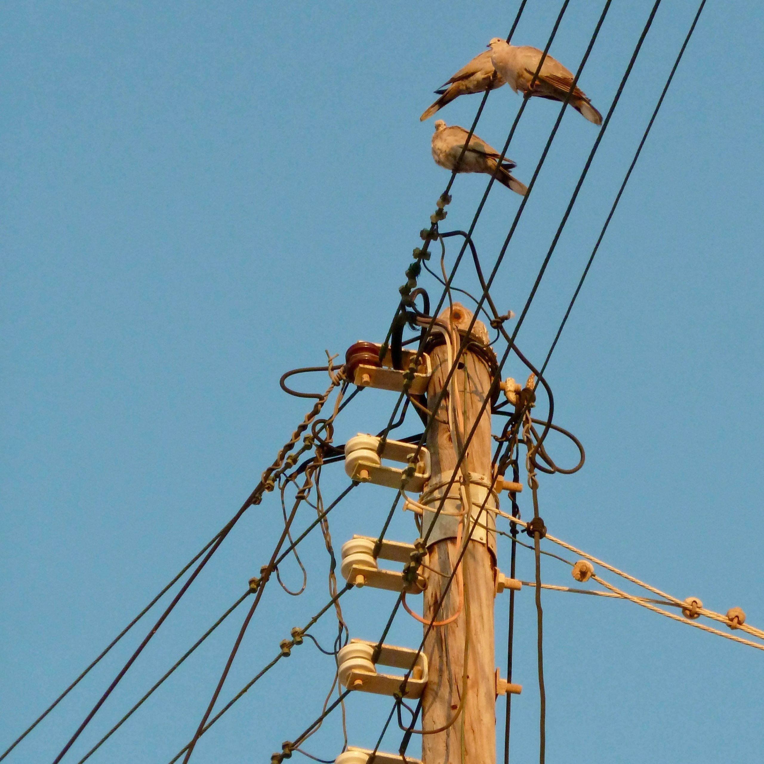 Optimizing Peak Demand Factor