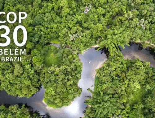 COP30: A Turning Point for Climate Implementation